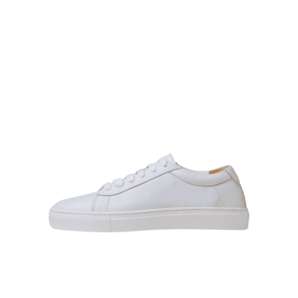 Easy Steps to Clean White Sneakers Like New