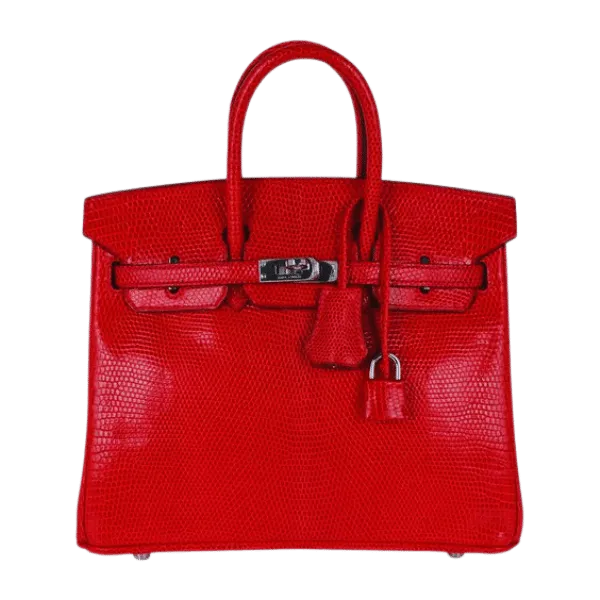 The Ultimate Guide to the Hermès Birkin 25cm in Red Togo: A Classic Handbag with Timeless Appeal