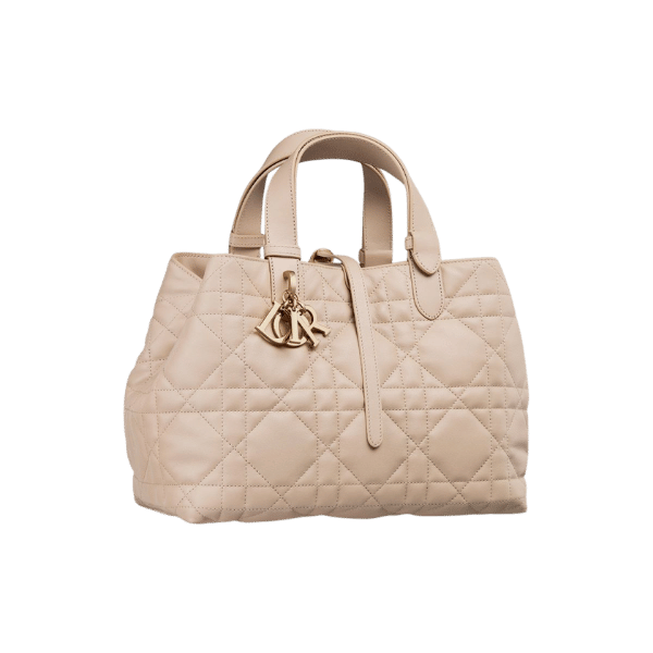 Dior vs Louis Vuitton: Which Luxury Bag Reigns Supreme?