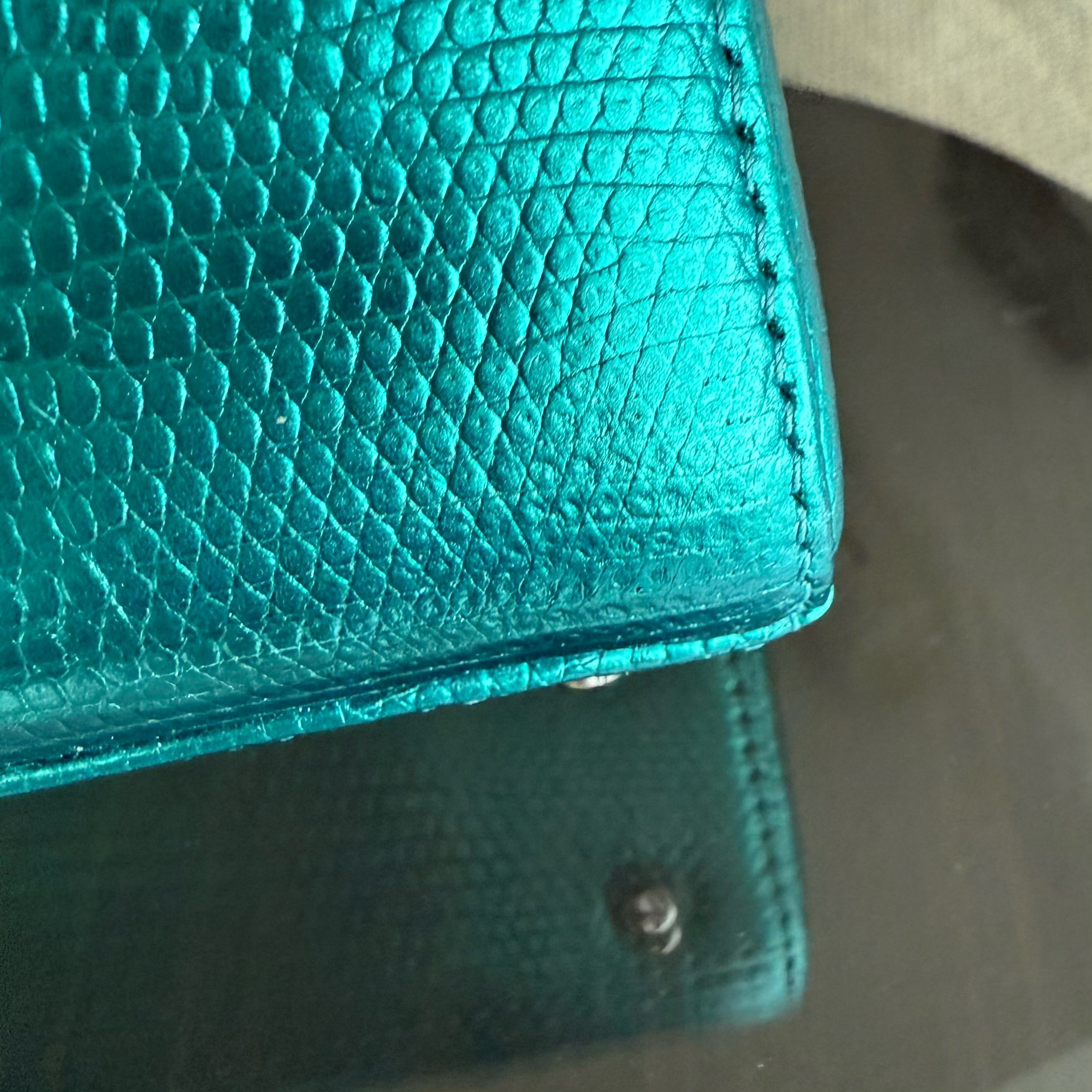 Dior Lady Mini - Exotic Lizard Green color Silver Hardware