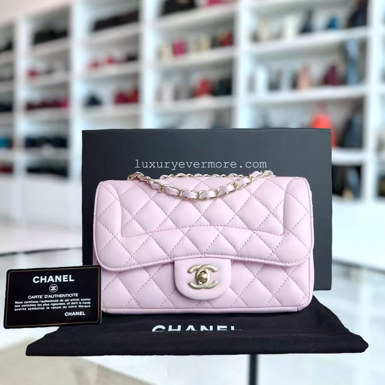 Chanel Chic Flap Small - 23CM Quilted Lambskin Sakura Light Pink Gold Hardware Series 21