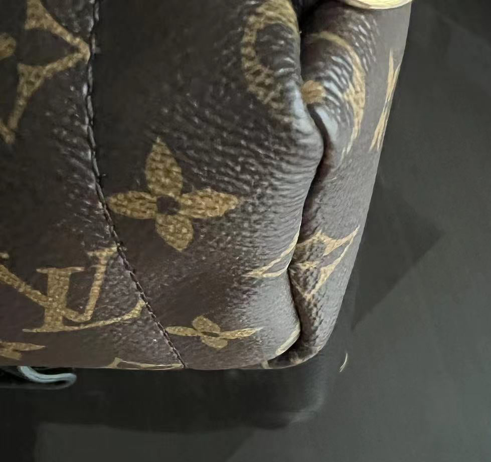 Louis Vuitton Palm Spring Mini - Canvas Monogram Backpack