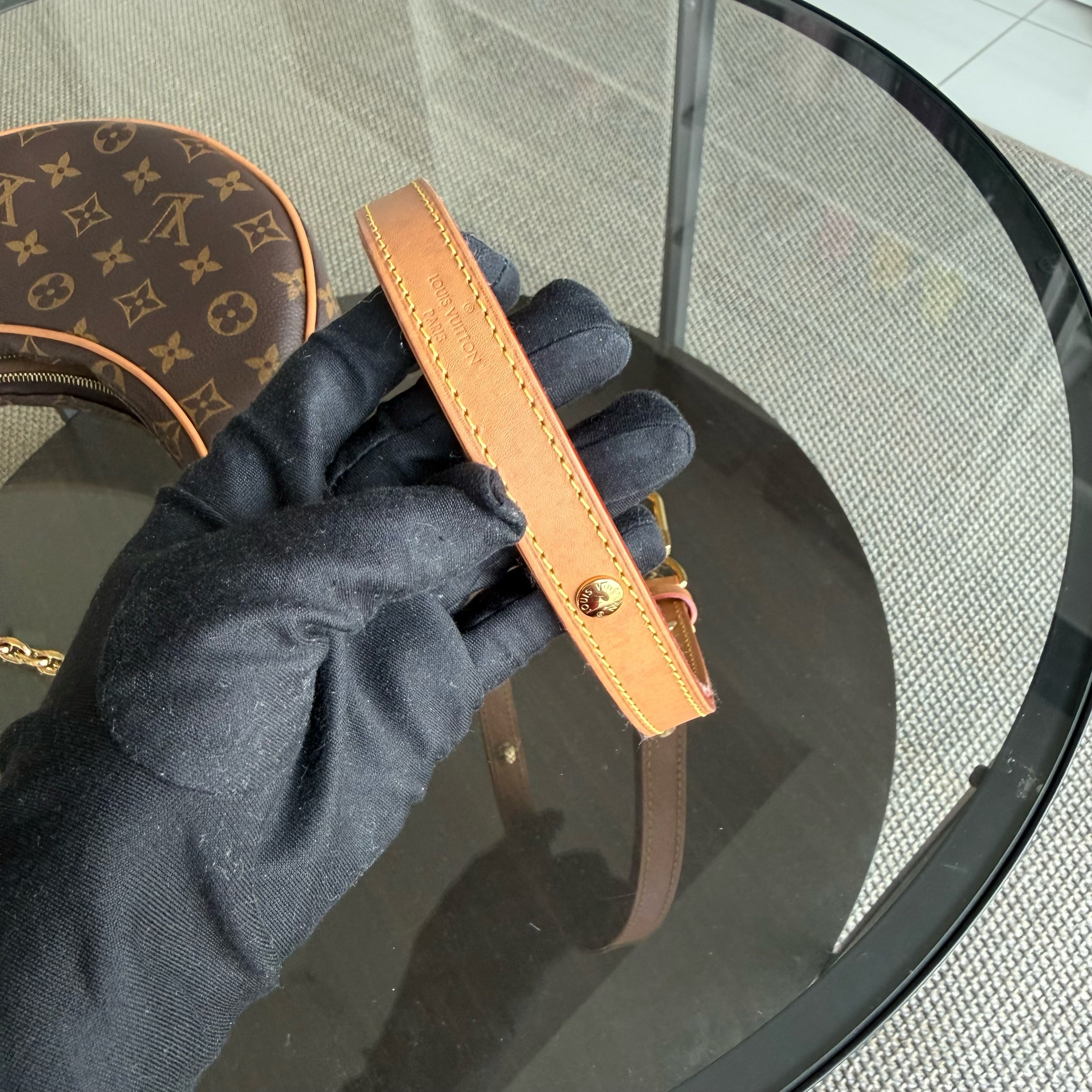 Louise Vuitton Loop Bag Monogram