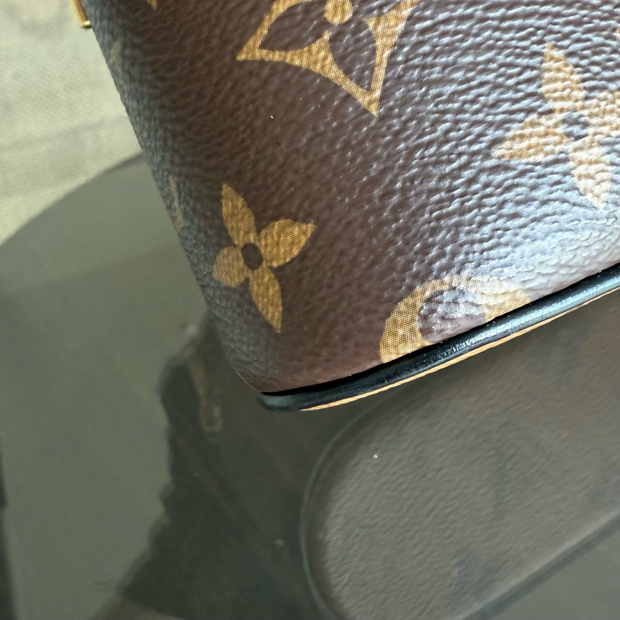 Louise Vuitton Vanity Chain Pouch Monogram