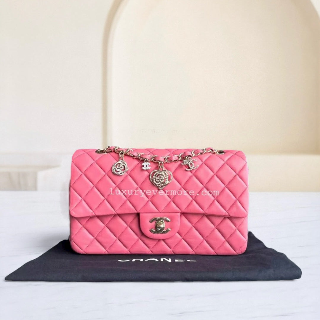Chanel Classic Flap Medium - Vanitine Single Flap Quilted Lambskin Sakura Pink Golden Hardware Seires 19