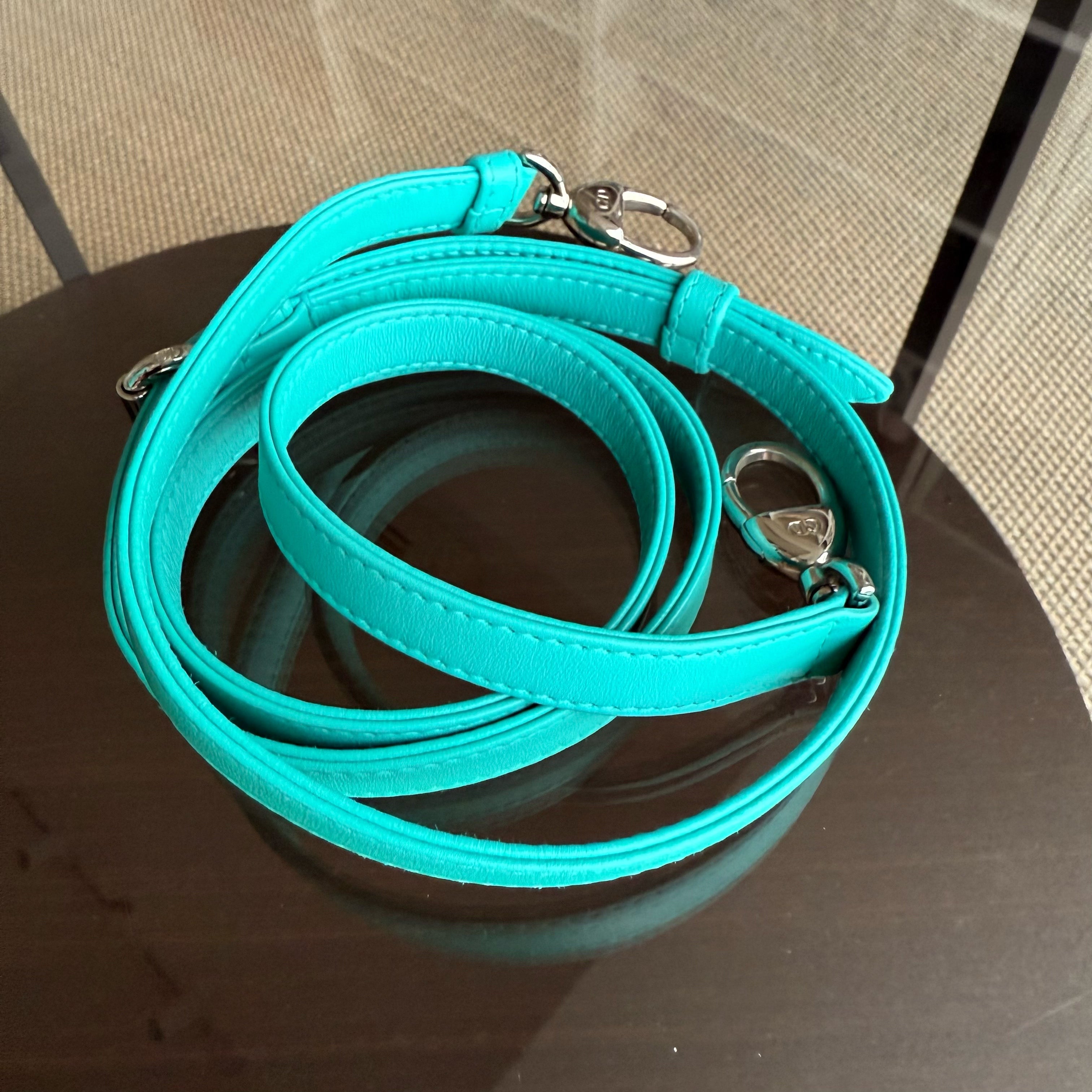 Dior Lady Mini - Cannage Lambskin Cyan Blue Silver Hardware Adjustable Strap