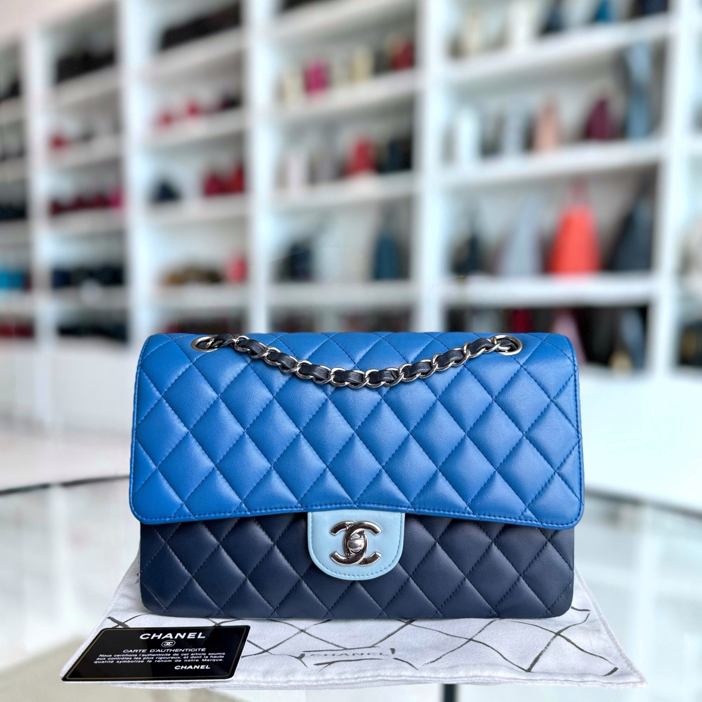 Chanel Classic Flap Medium - 25CM Quilted Lambskin Tri-Color Blue Silver Hardware Series 22