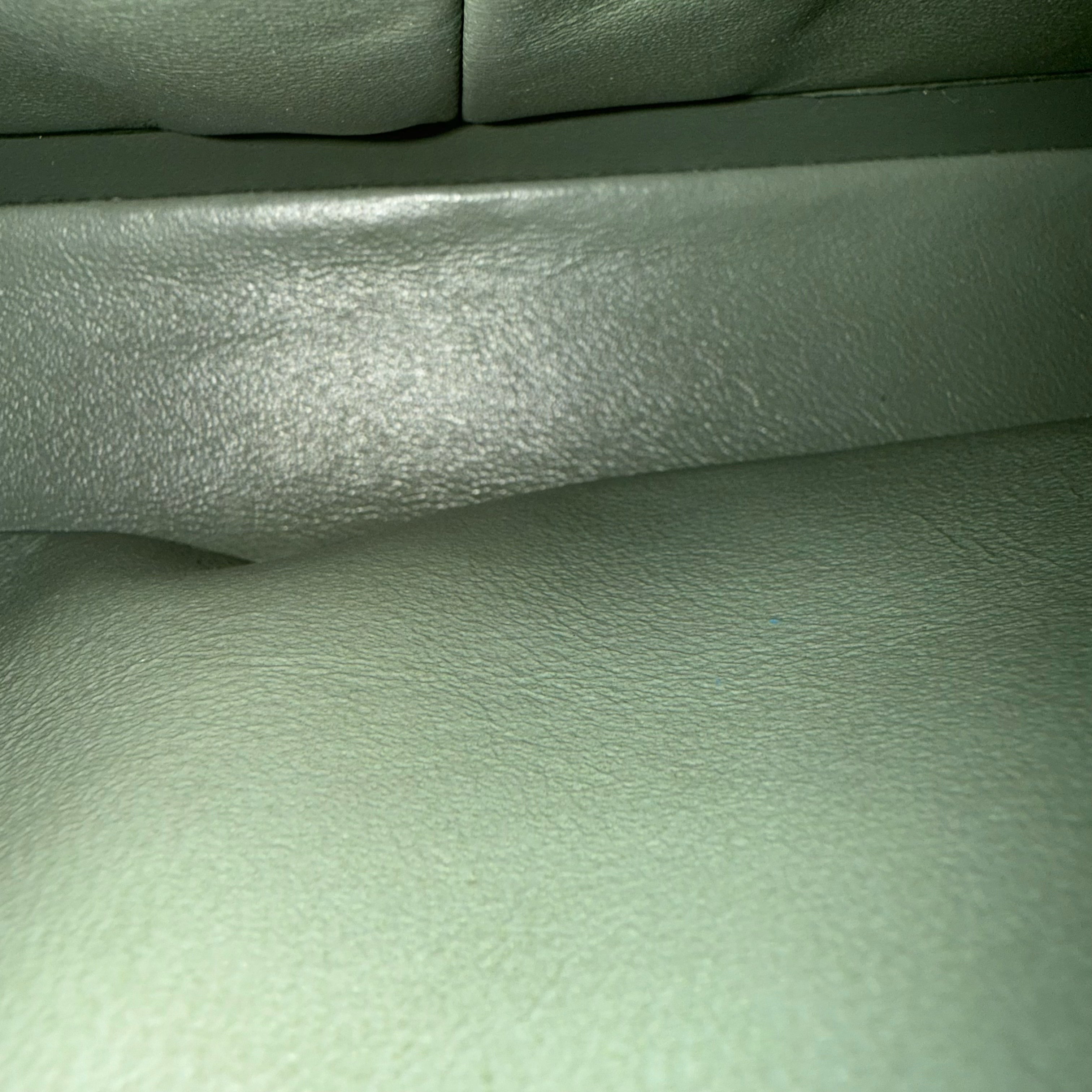 Chanel Classic Flap Medium - Caviar 25CM Quilted Light Green Gold Hardware Series 25