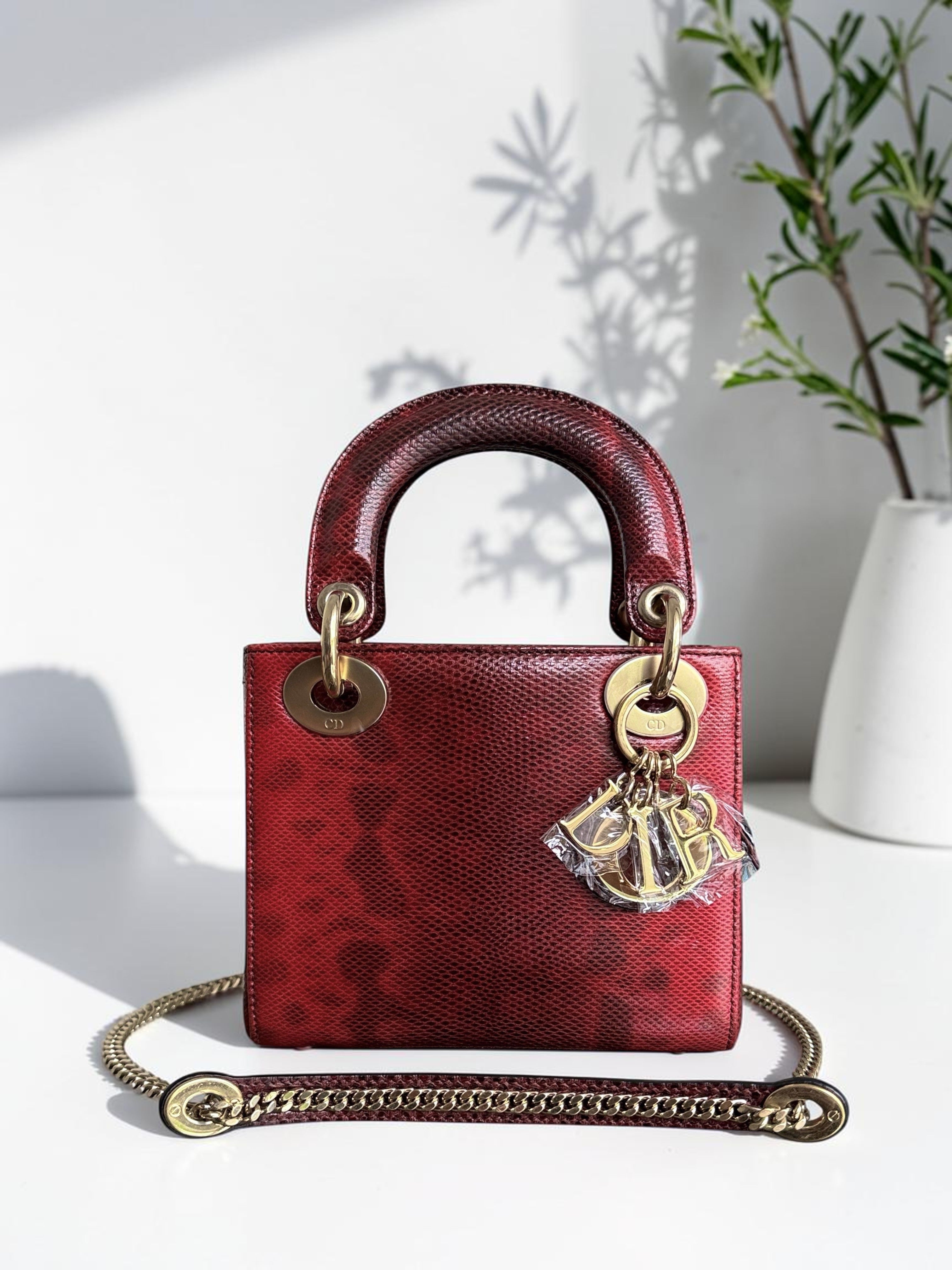 Dior Lady Mini - Exotic Lizard Gold Hardware
