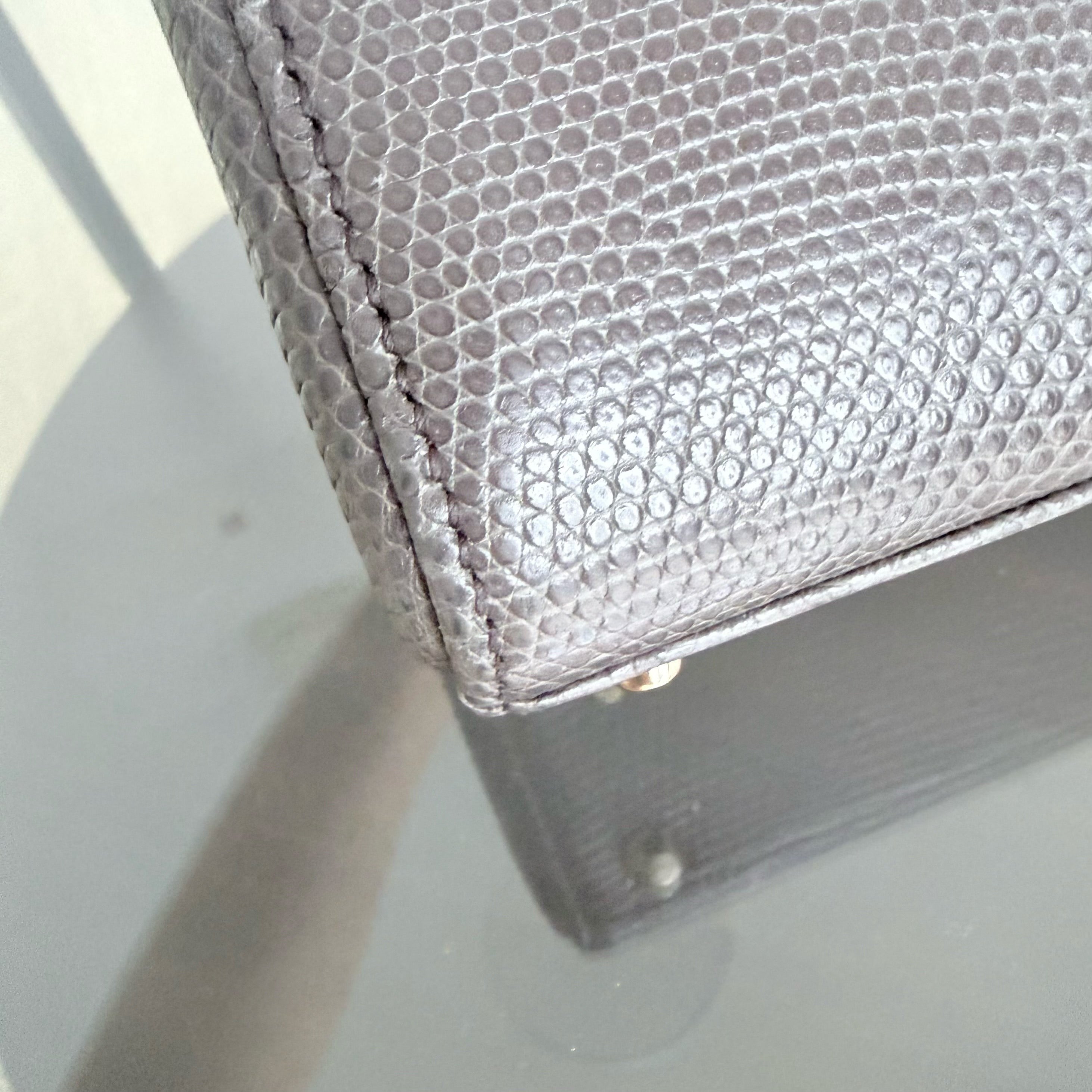 Dior Lady Mini - Exotic Lizard Dark Gray Grey color Gold Hardware