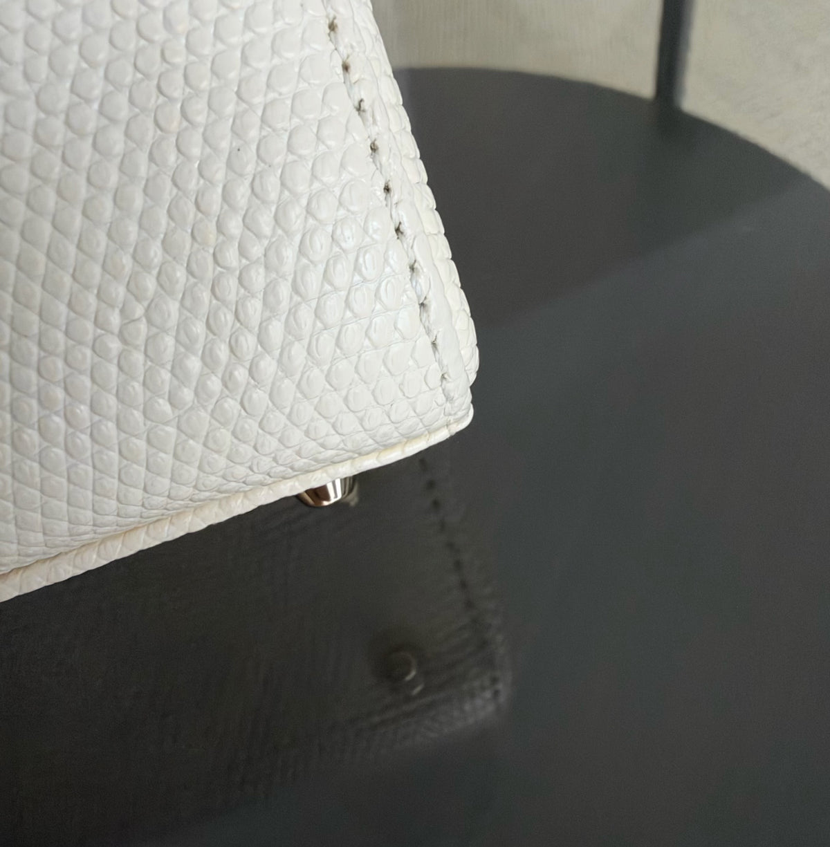 Dior Lady Mini - Exotic Lizard White Gold Hardware