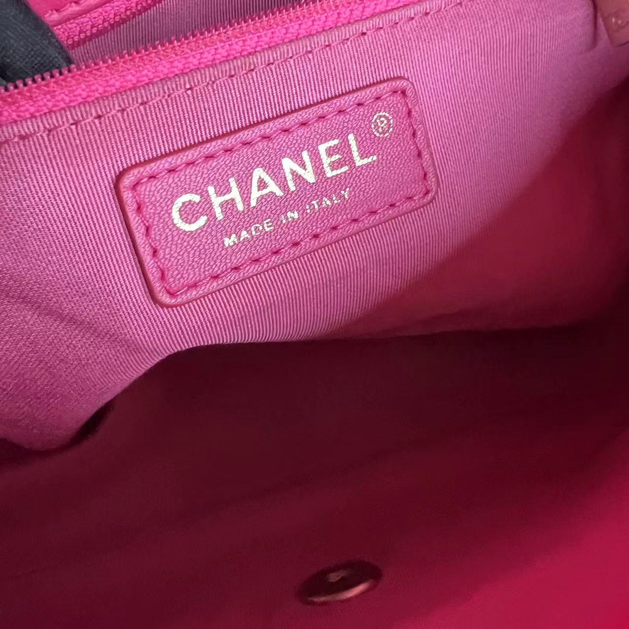 Chanel Mademoiselle Medium Chic Seasonal Flap 25CM Lambskin Hot Pink GHW No 21 - Luxury Evermore