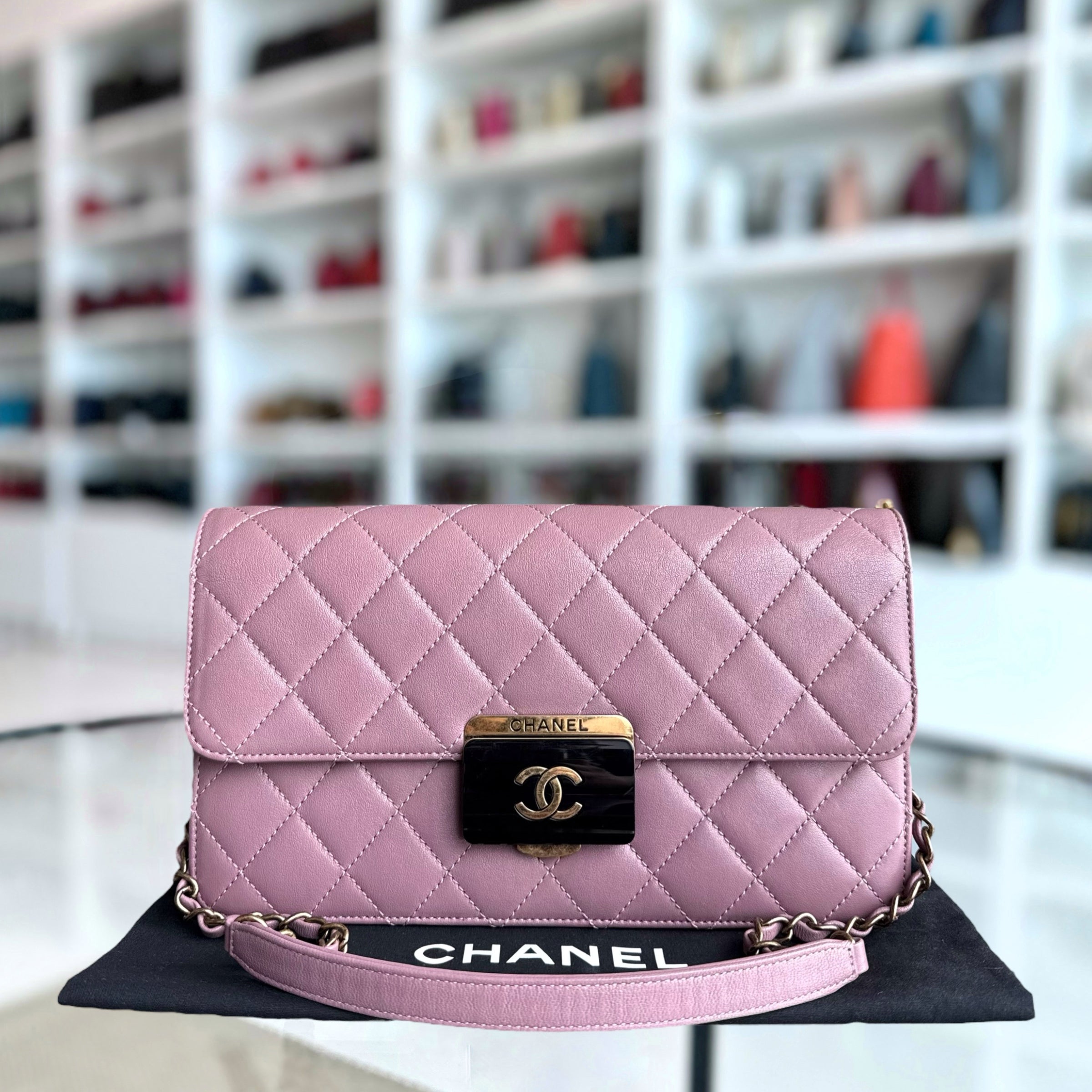 Chanel Beauty Lock Flap - 28CM Quilted Sheetskin Pink Gold Hardware Series 22