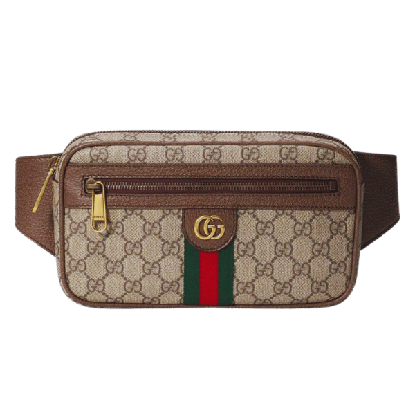 Exploring Gucci Belt Bags: The Ultimate Guide to Luxury and Style