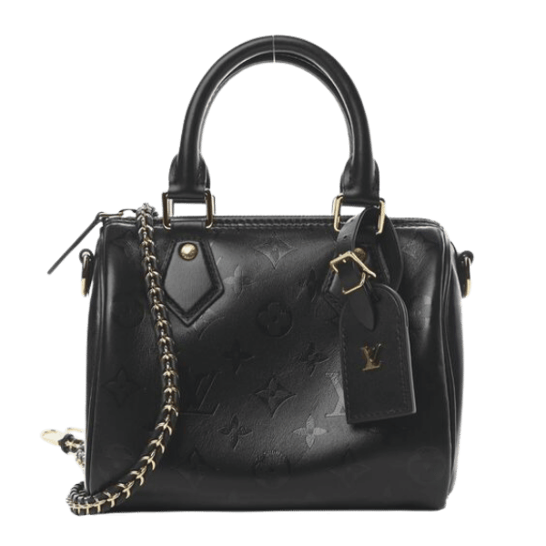 The Ultimate Guide to Choosing a Louis Vuitton Handbag