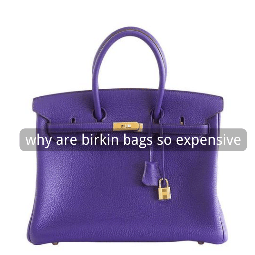 why are birkin bags so expensive