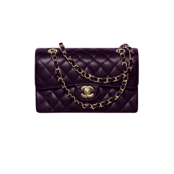 Discover the Iconic Chanel: The Best Chanel Bags Every Collector Must Have