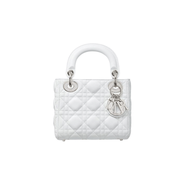 Which Dior Bag is the Best Investment? Insights on Lady Dior and More