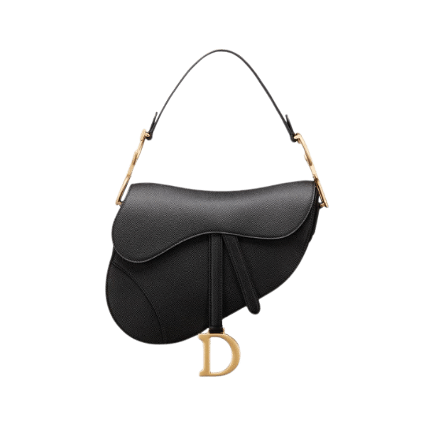 Dior Saddle Bag Mini vs Regular: Ultimate Dior Saddle Bag Size Comparison for Saddle Bag Lovers