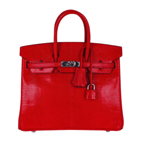 The Ultimate Guide to the Hermès Birkin 25cm in Red Togo: A Classic Handbag with Timeless Appeal