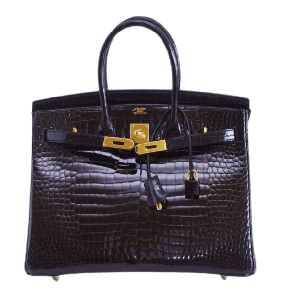 Discover the Luxurious World of Hermès Crocodile Handbags