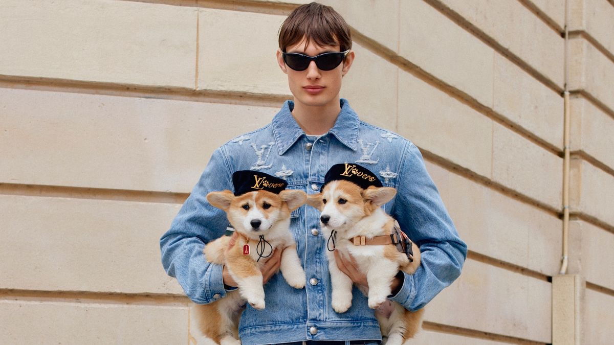 Louis Vuitton and Gucci Launch Pet Collections: Why Is This a Growing Trend?