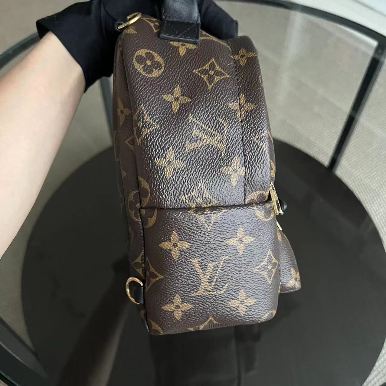 Louis Vuitton Palm Spring Mini - Canvas Monogram Backpack