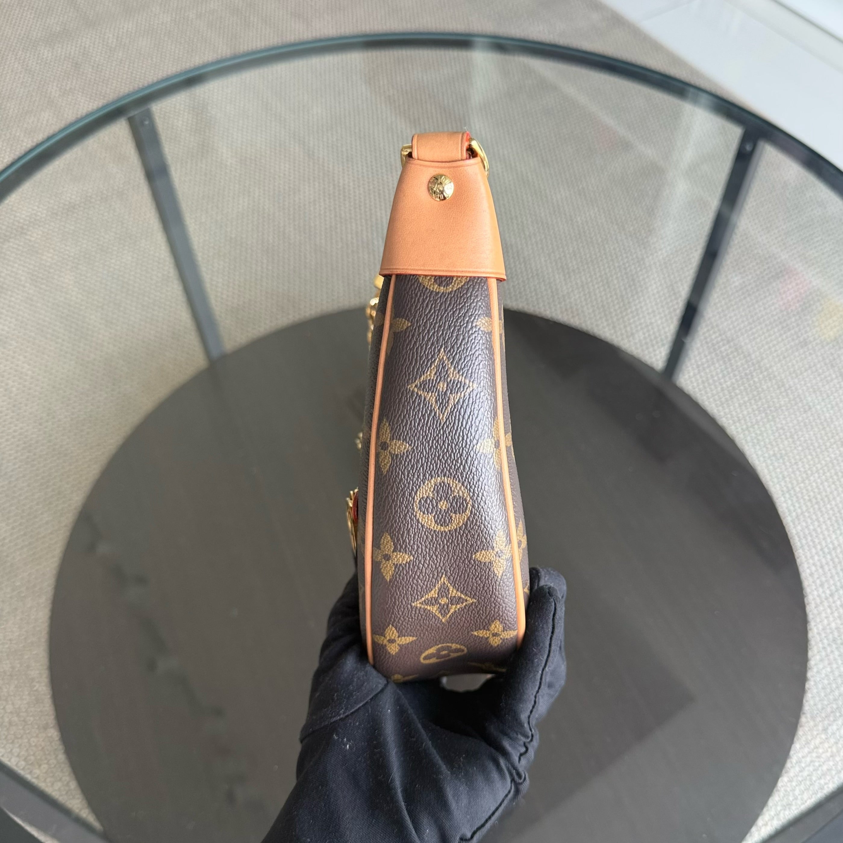 Louise Vuitton Loop Bag Monogram