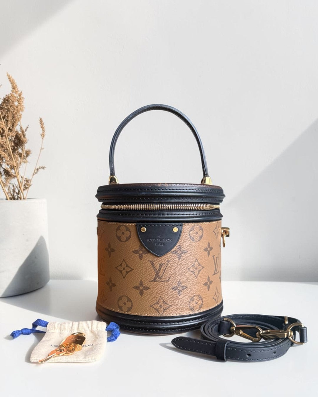 Louise Vuitton Cannes Monogram Reverse Handbag