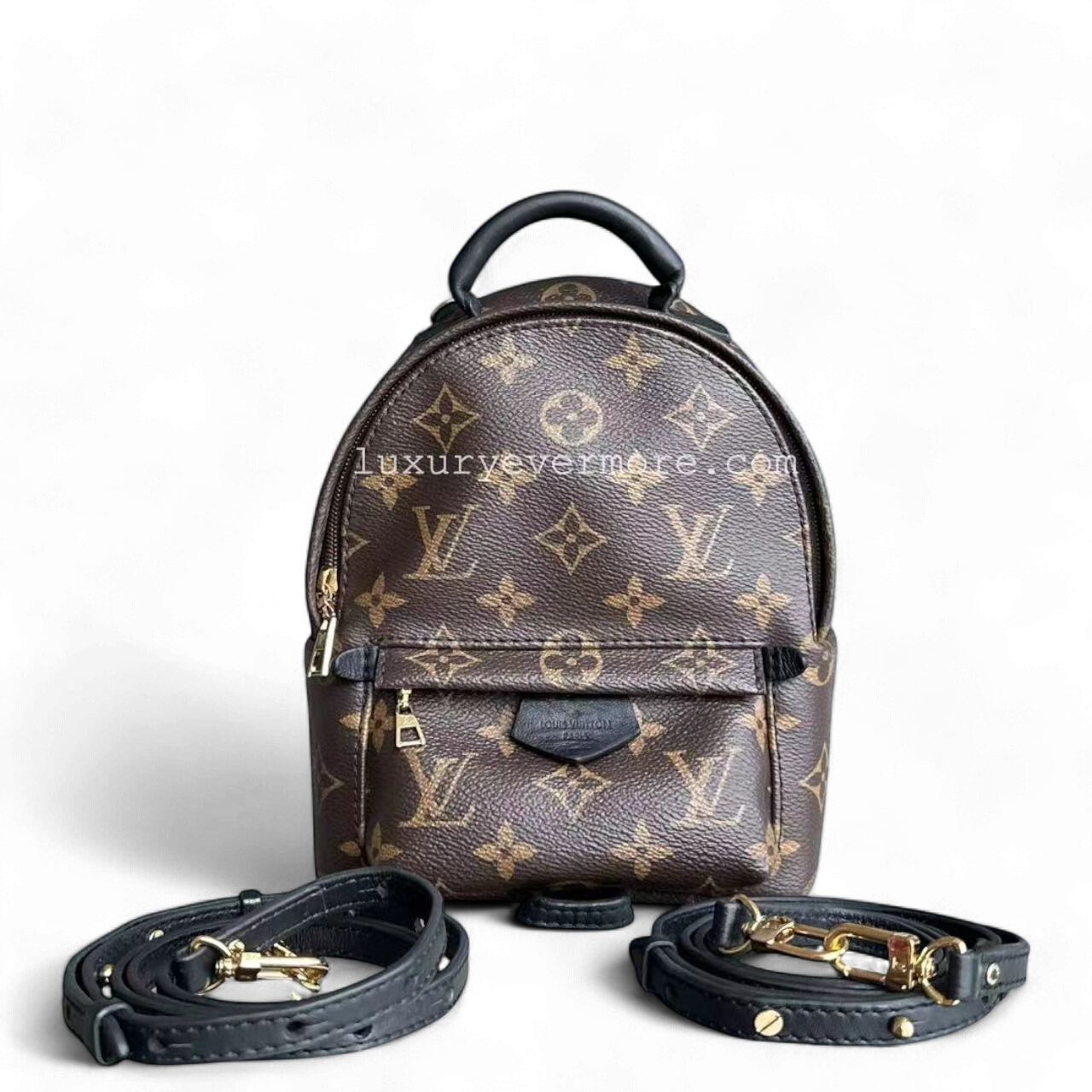 Louis Vuitton Palm Spring Mini - Canvas Monogram Backpack