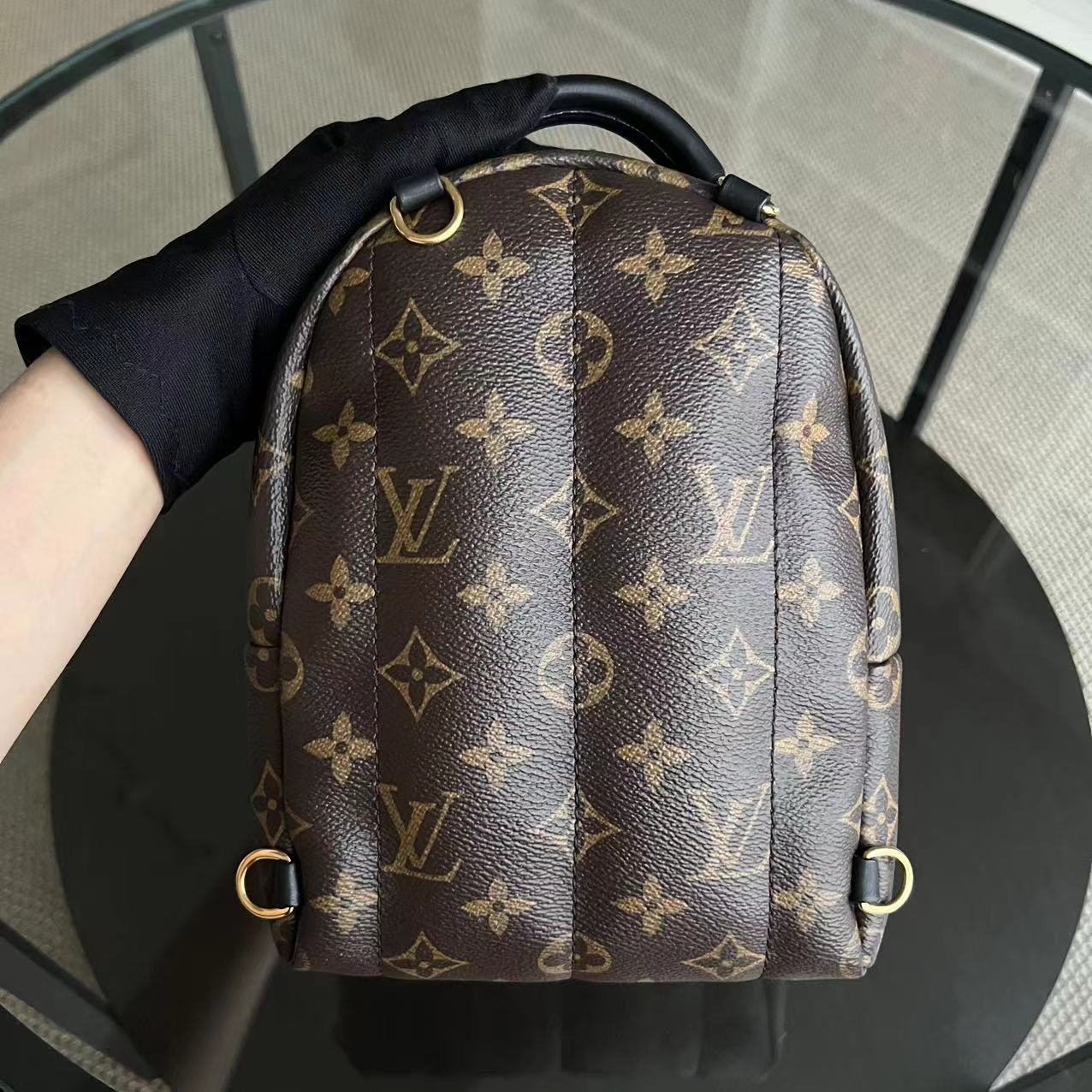 Louis Vuitton Palm Spring Mini - Canvas Monogram Backpack