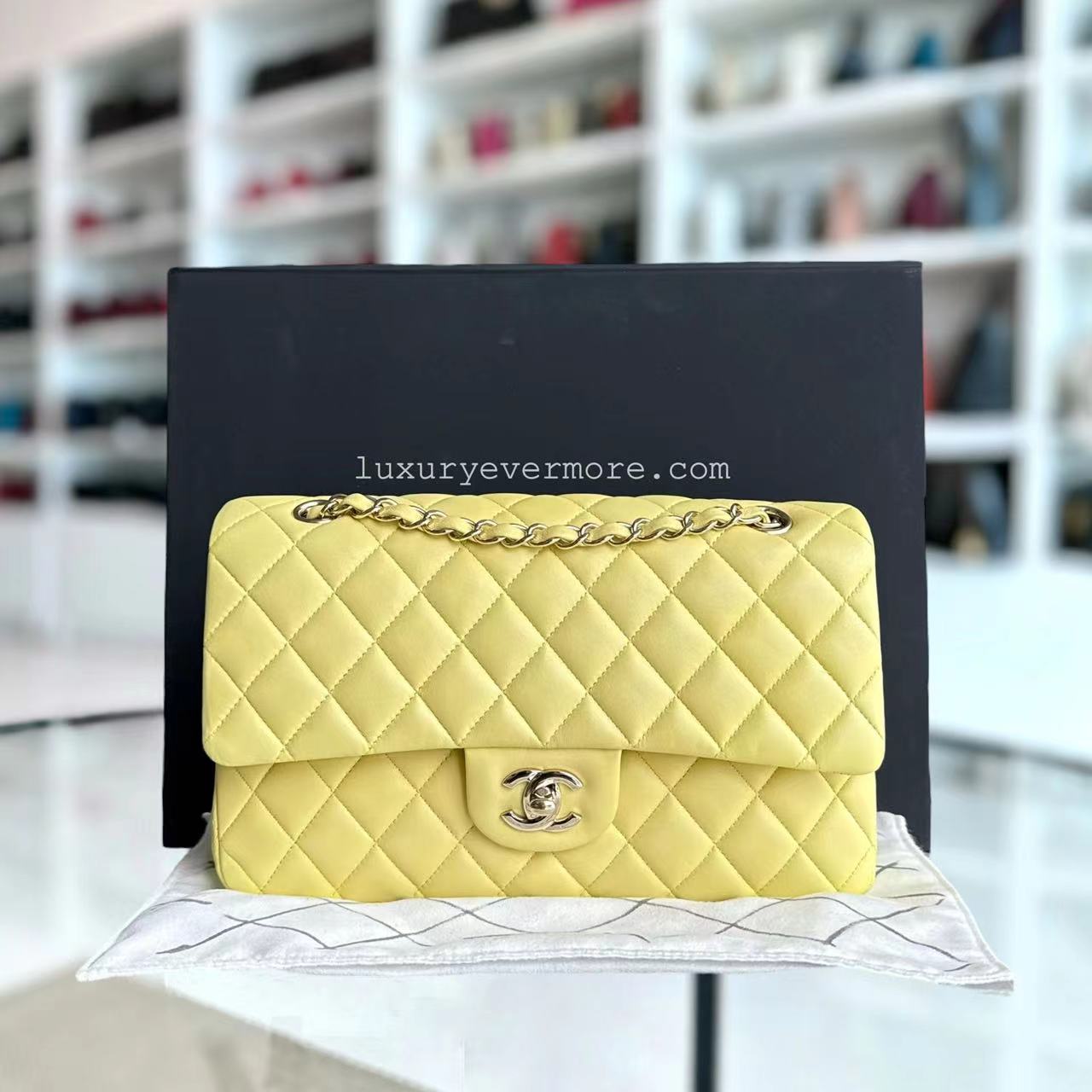 Chanel Classic Flap Medium - 25CM Quilted Lambskin Yellow Gold Hardware Series 24