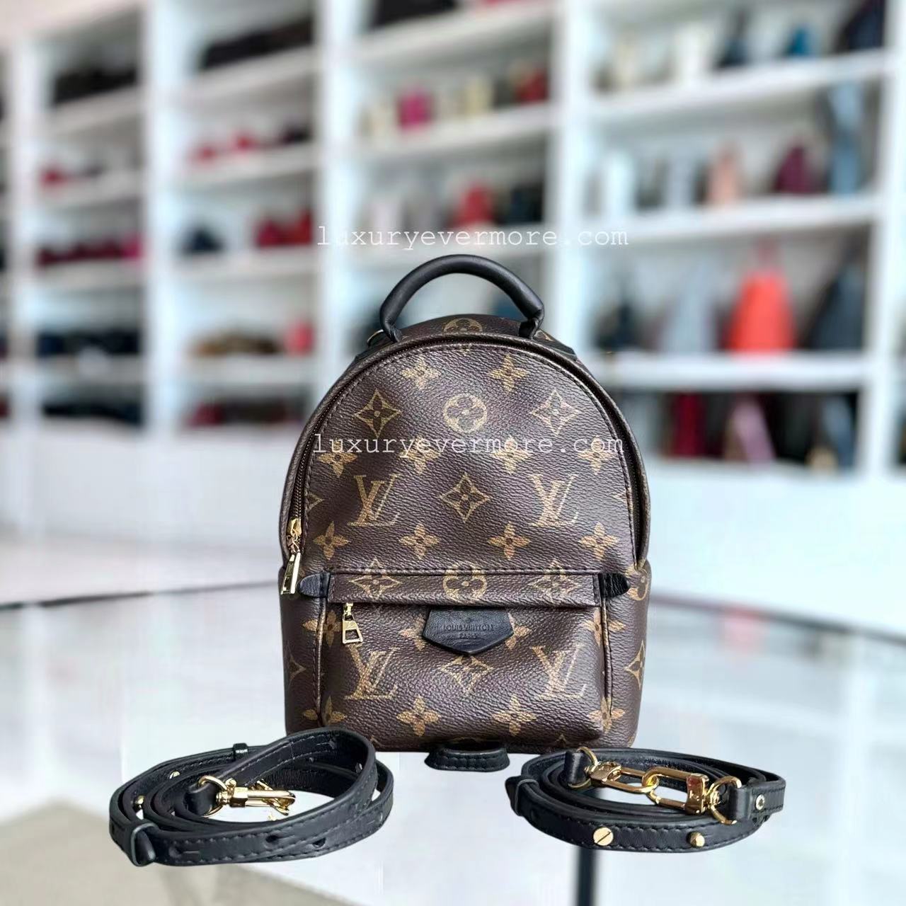 Louis Vuitton Palm Spring Mini Canvas Monogram Backpack