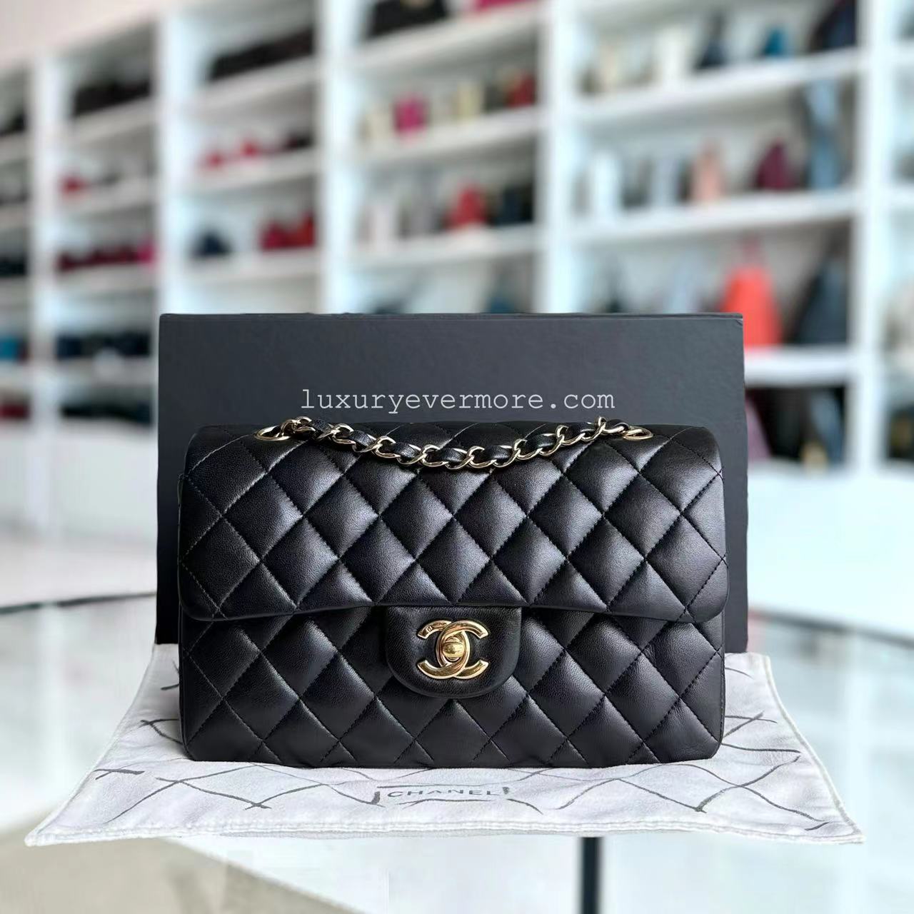 Chanel Classic Flap Small - 23CM Quilted Lambskin Black Gold Hardware Series 12