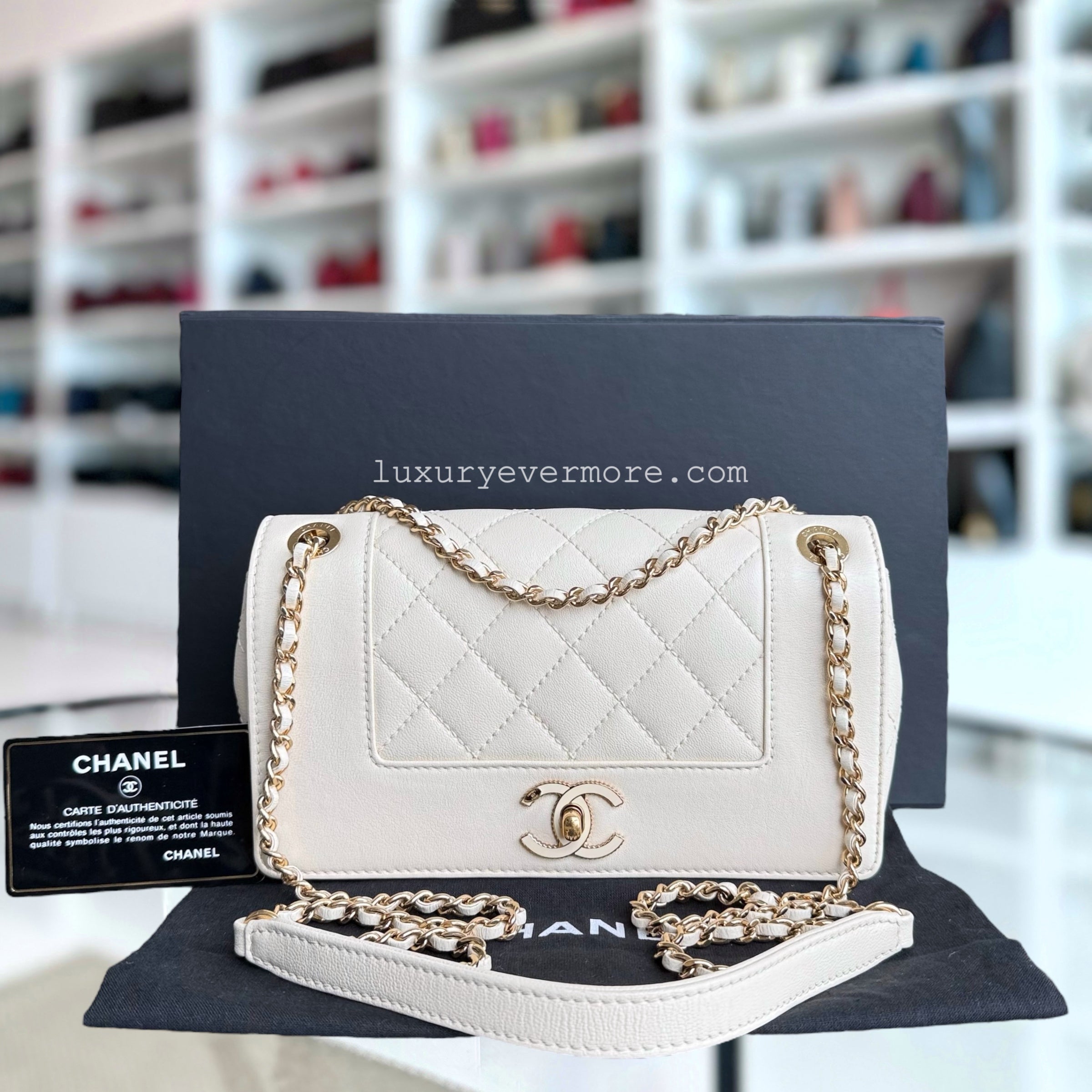 Chanel Mademoiselle Seasonal Flap - Small Quilted Lambskin Medium White Gold Hardware Series 23