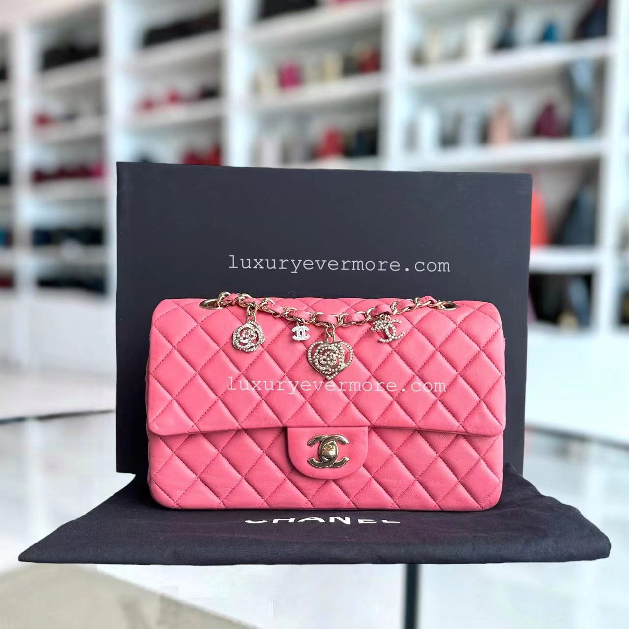 Chanel Vanitine Classic Flap Single Flap Medium Quilted Lambskin Sakura Pink Golden Hardware Seires 19