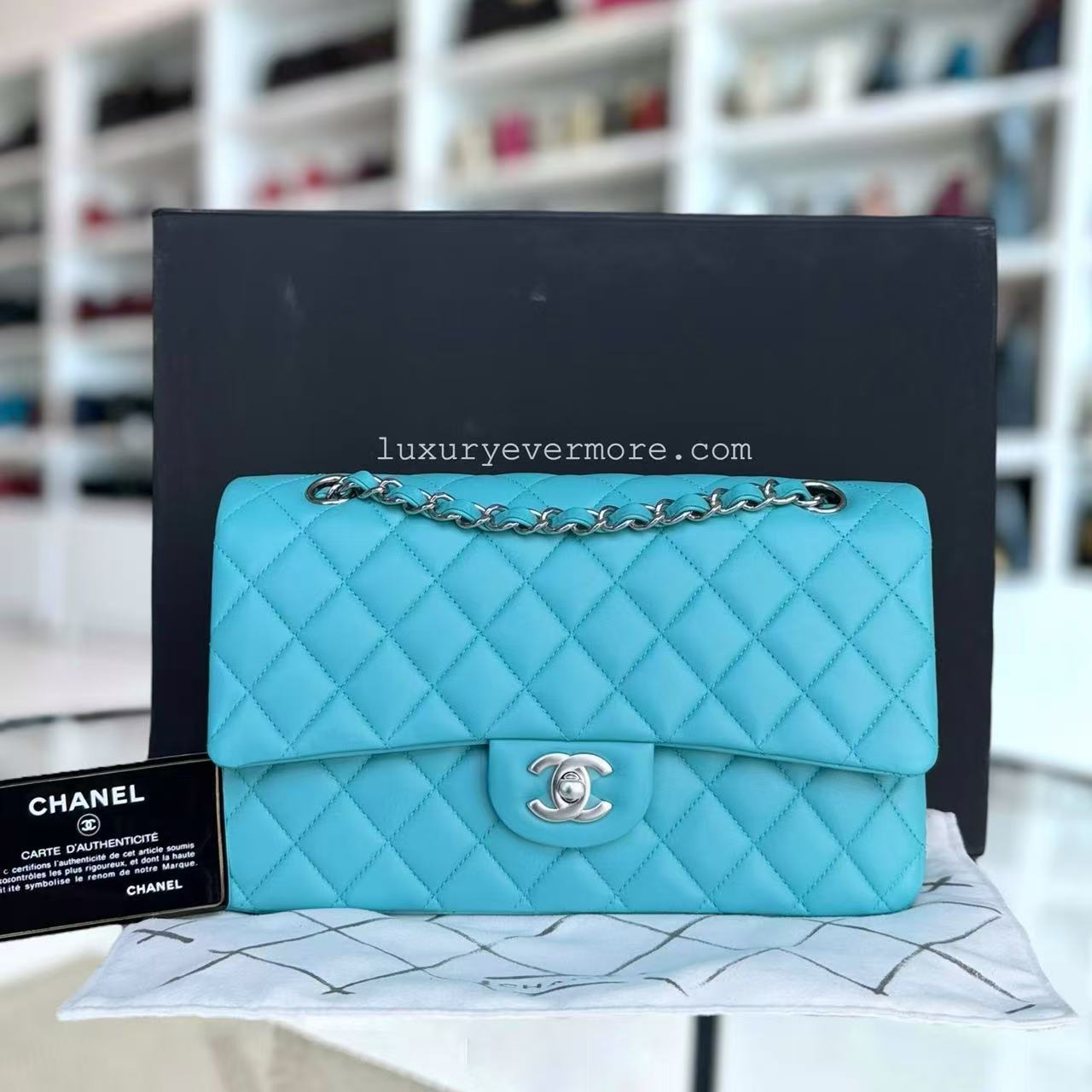 *Unused* Chanel Classic Flap Medium - 25CM Quilted Lambskin Blue Silver Hardware Series 19