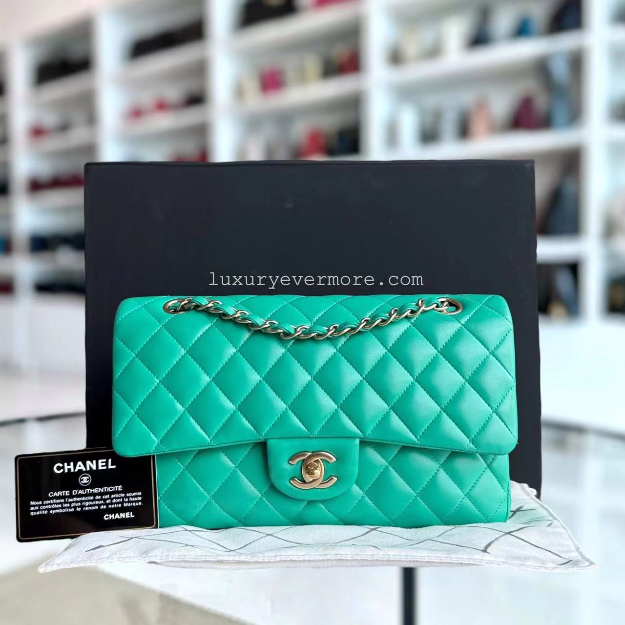 Chanel Classic Flap Medium - 25CM Double Flap Green Quilted Lambskin Gold Hardware Series 18