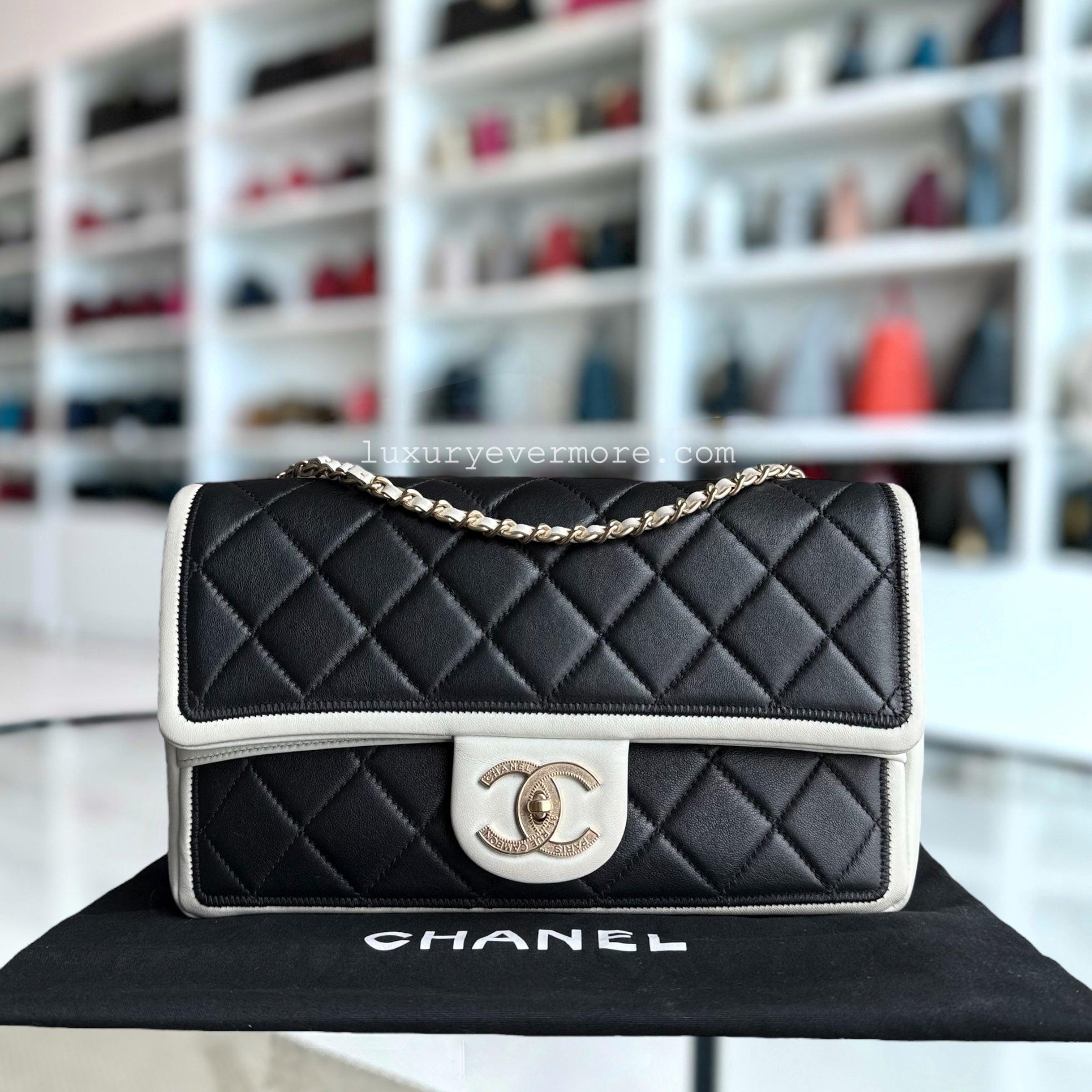 Chanel Seasonal Flap - Medium Graphic Quilted Lambskin Black White Gold Hardware Series 18