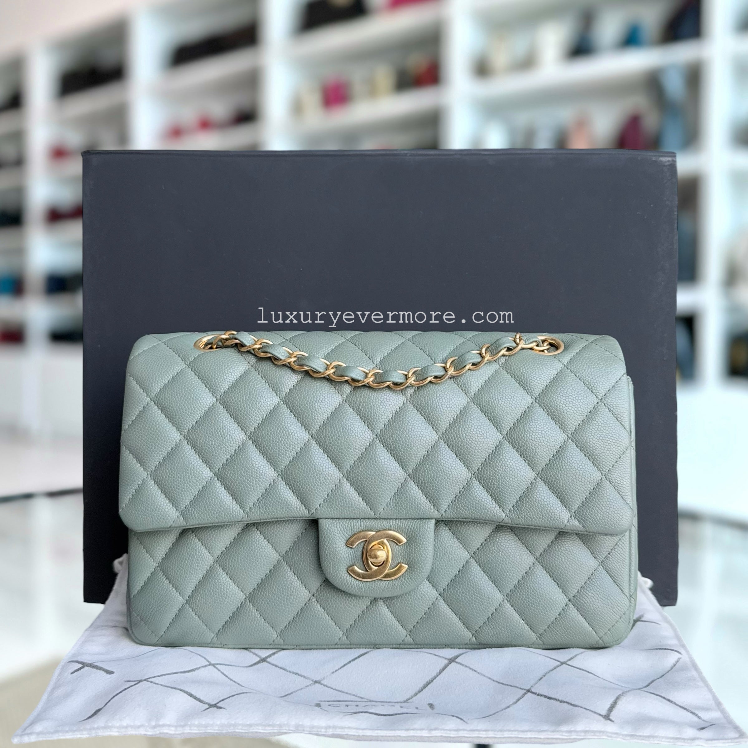 Chanel Classic Flap Medium - Caviar 25CM Quilted Light Green Gold Hardware Series 25