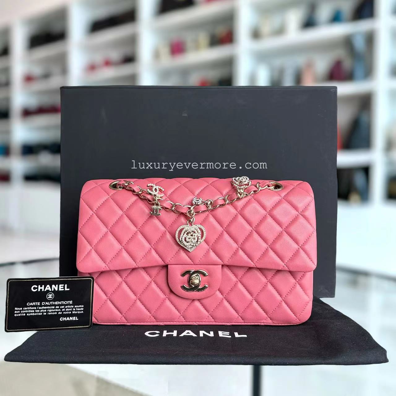 Chanel Classic Flap Medium - Valentine 25CM Single Flap Quilted Lambskin Sakura Pink Gold Hardware Series 19