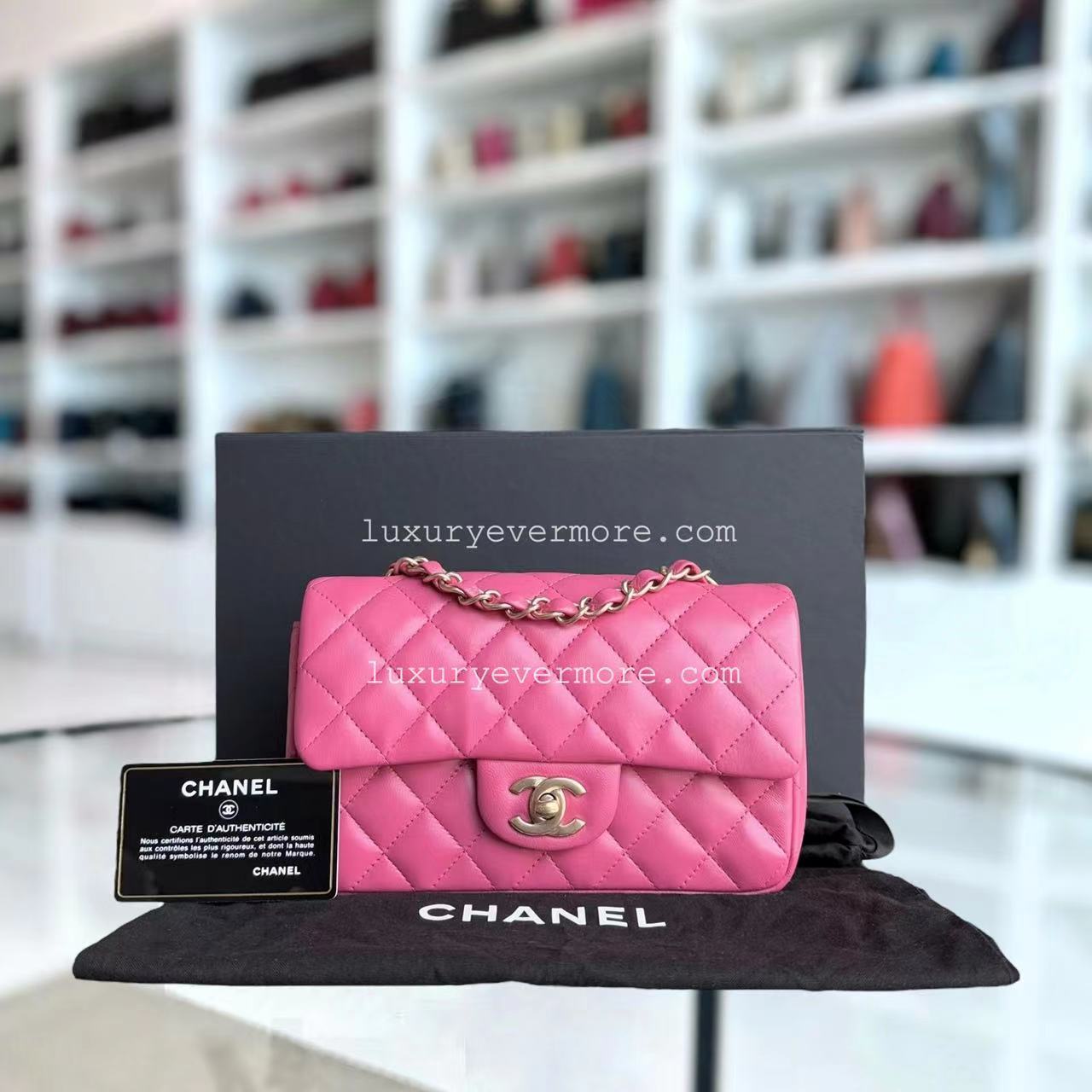 Chanel Classic Flap Mini - 20CM Rectangle Quilted Lambskin Barbe Pink Gold Hardware Series 18