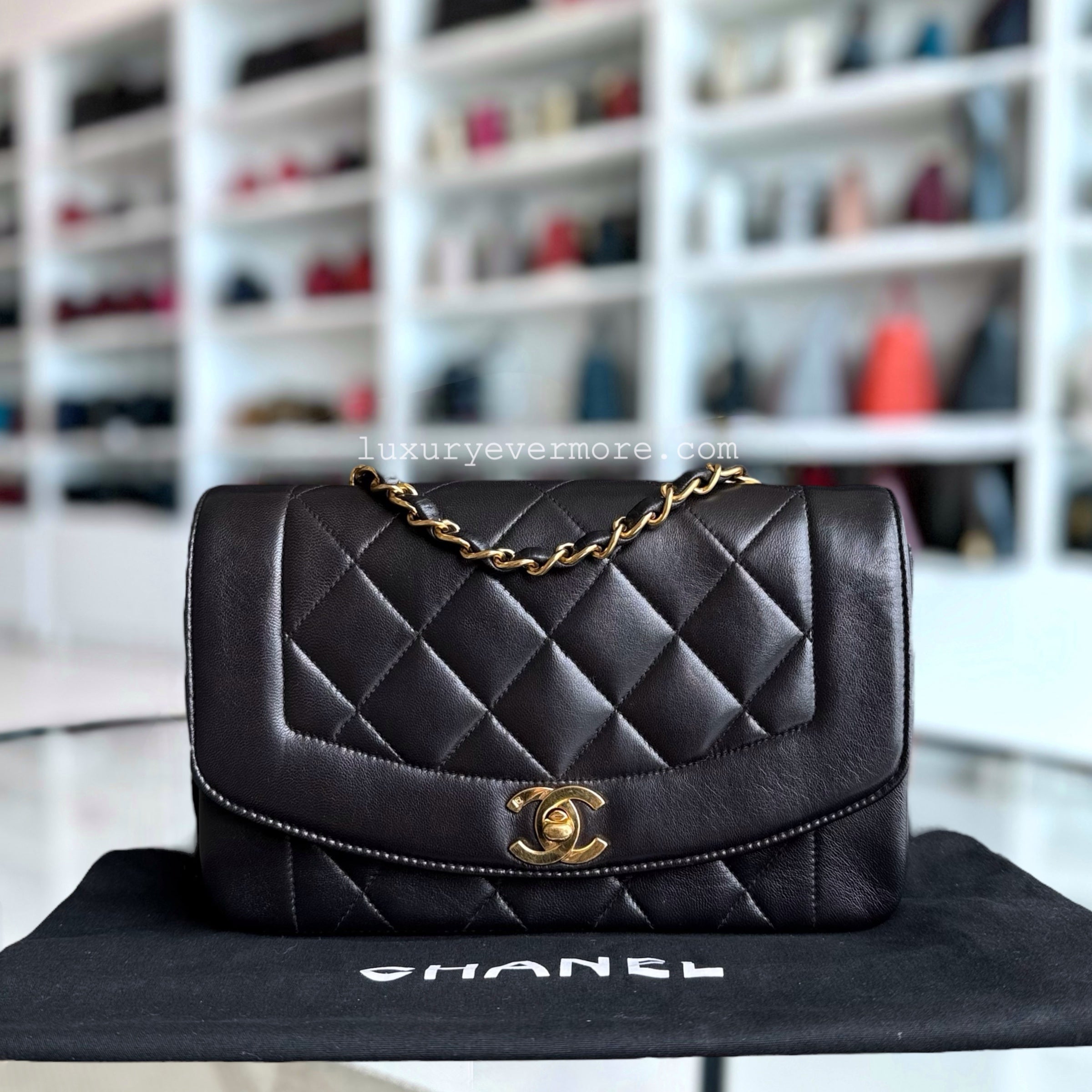 Chanel Diana Small - 23CM Quilted Lambskin Black Gold Hardware Series 3