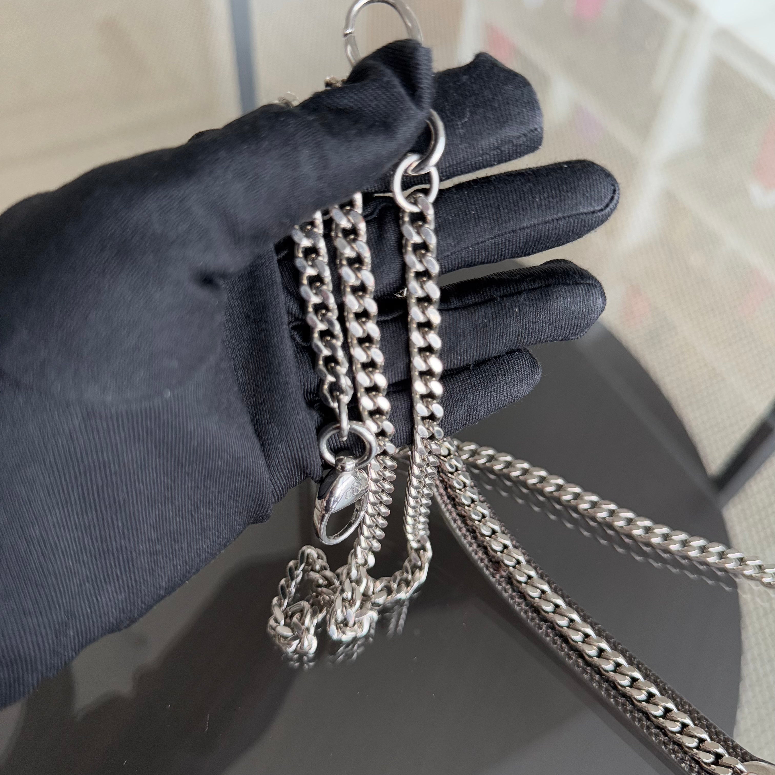 Dior Lady Mini - Exotic Lizard Skin Iridescent Two-tone Silver Hardware Chain Strap