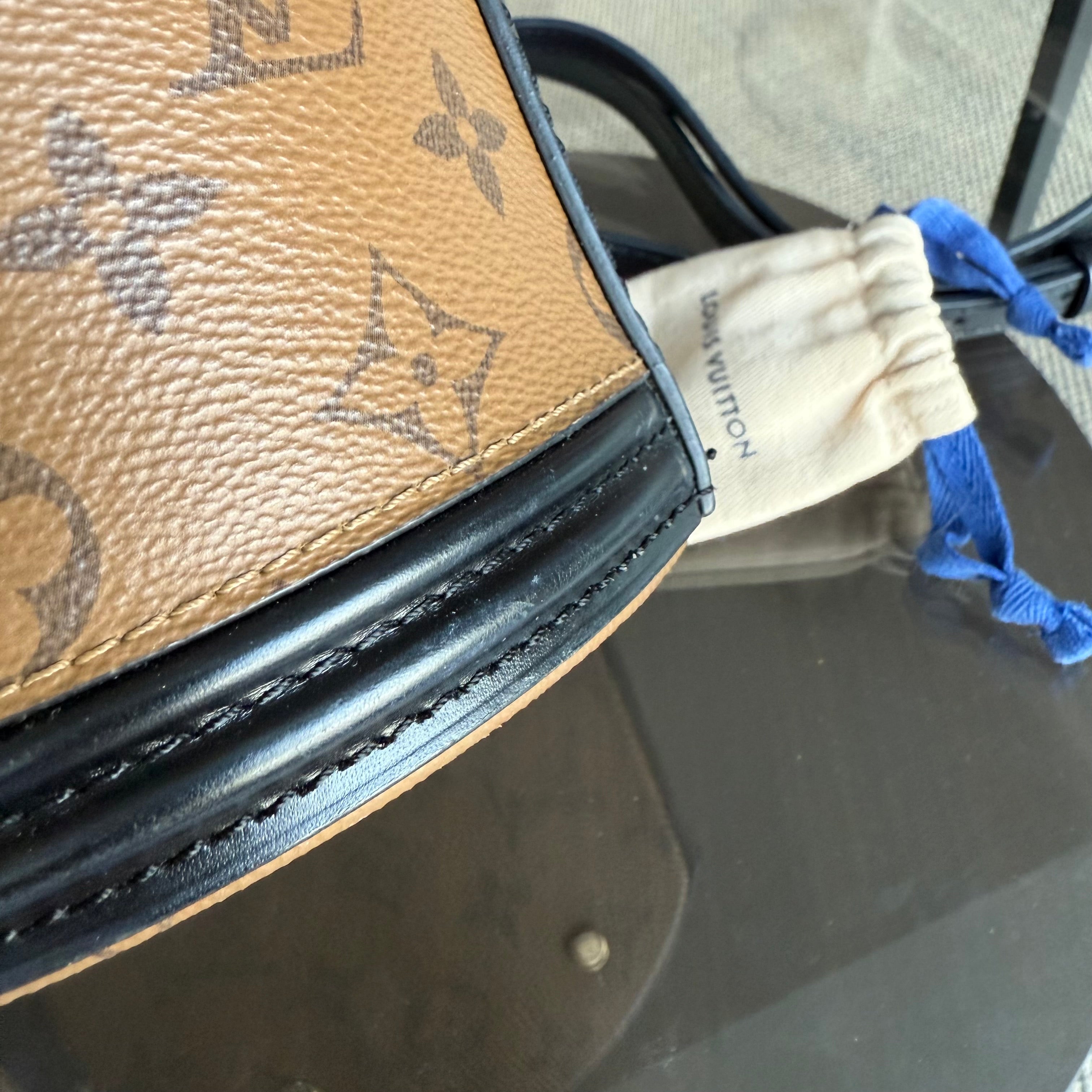 Louise Vuitton Cannes Monogram Reverse Handbag