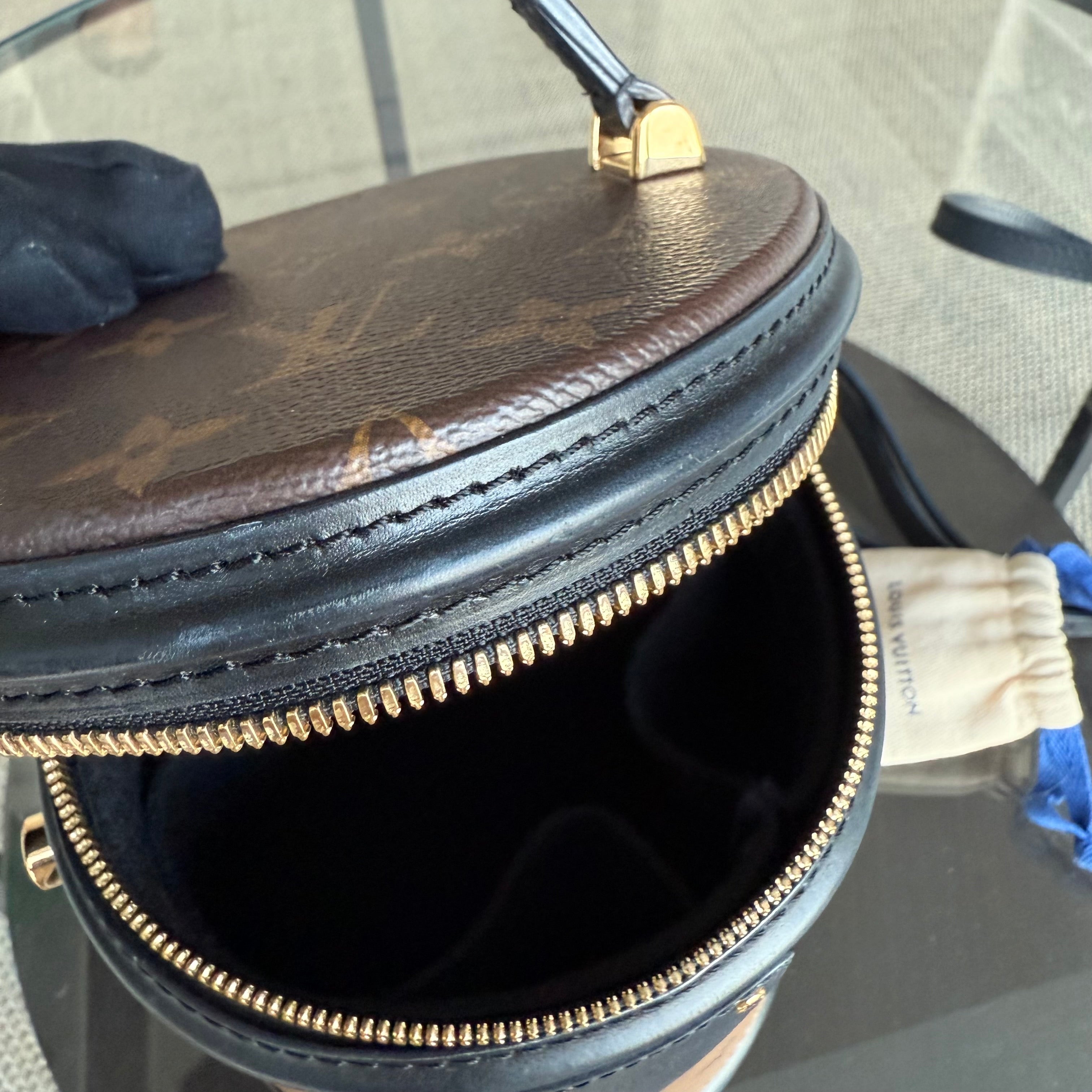 Louise Vuitton Cannes Monogram Reverse Handbag