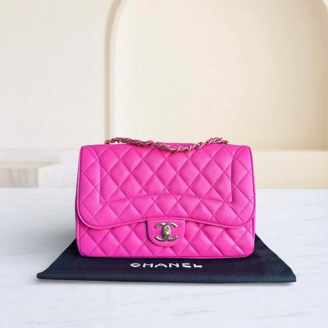 Chanel Chic Flap Seasonal Flap Medium - 25CM Quilted Lambskin Pink Gold Hardware Series 21