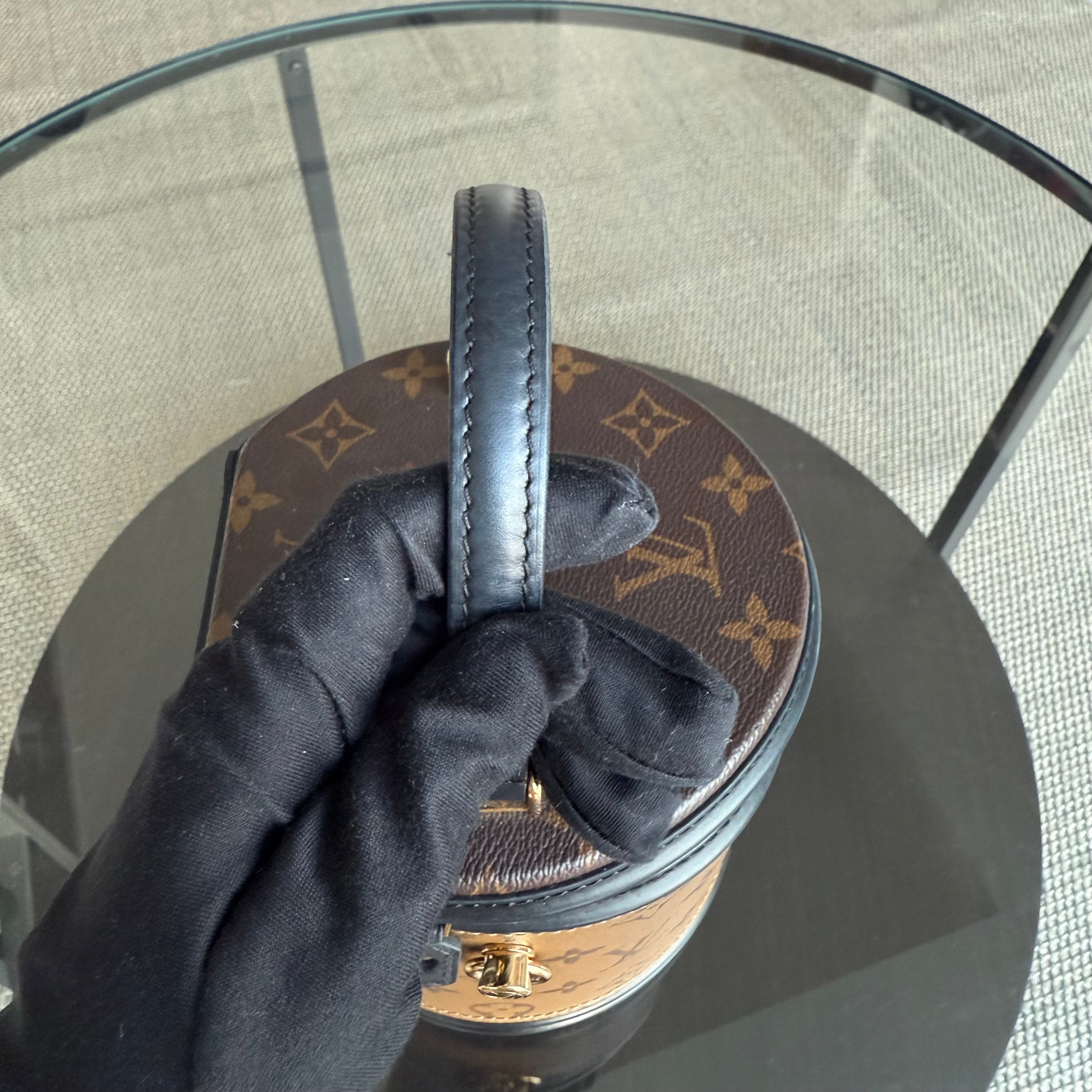 Louise Vuitton Cannes Monogram Reverse Handbag