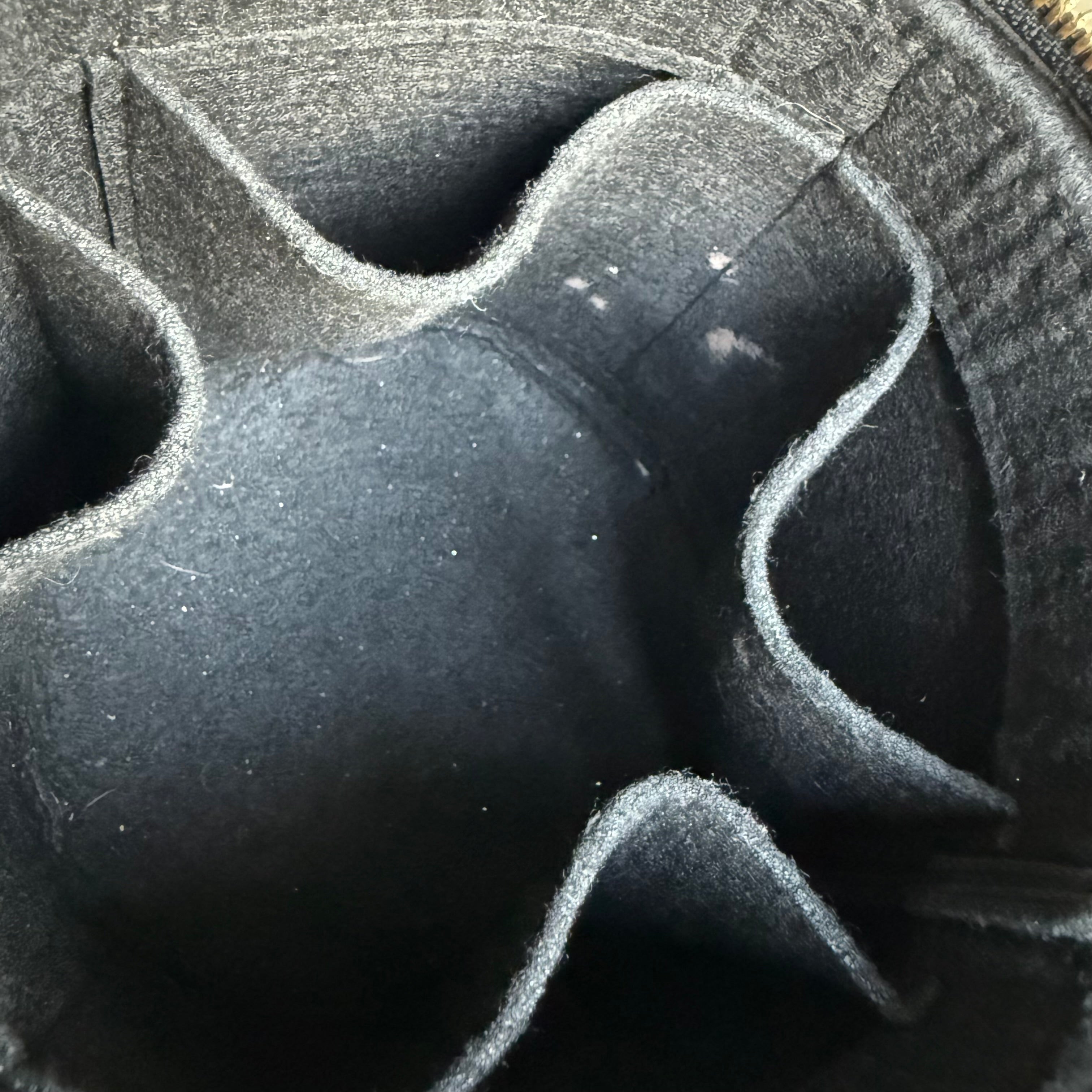 Louise Vuitton Cannes Monogram Reverse Handbag