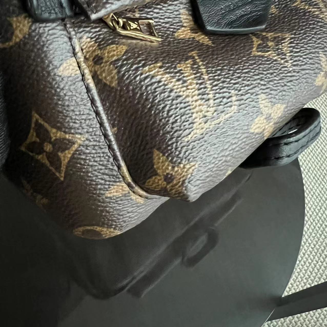 Louis Vuitton Palm Spring Mini - Canvas Monogram Backpack